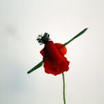 NOUVEAUTE 2025 – Les ateliers créatifs